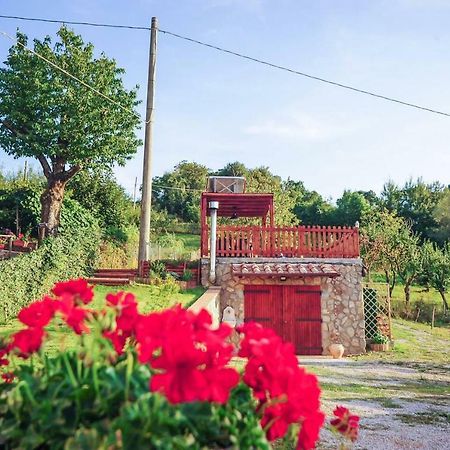 La Finestra Sul Castello Διαμέρισμα Arcidosso Εξωτερικό φωτογραφία