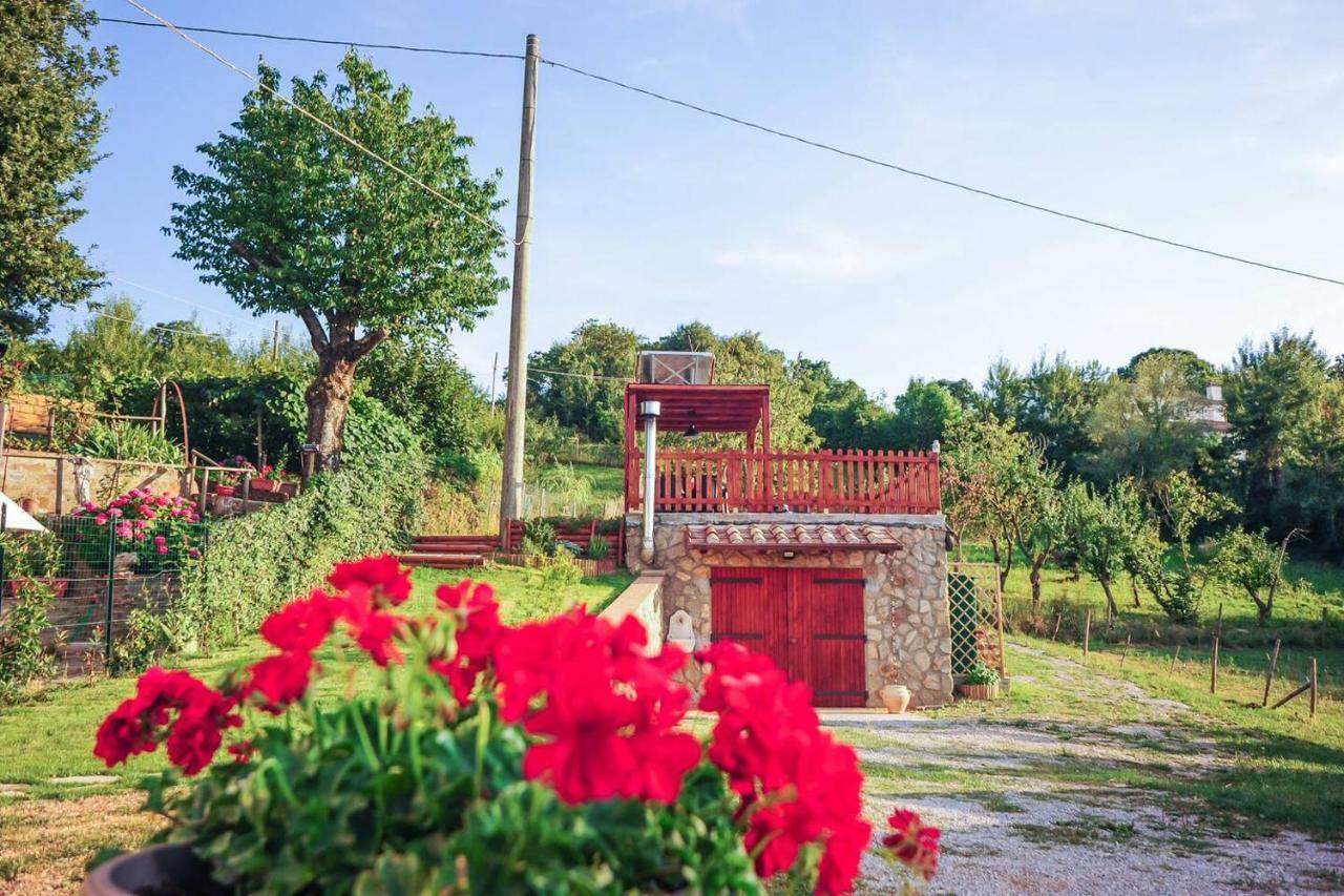 La Finestra Sul Castello Διαμέρισμα Arcidosso Εξωτερικό φωτογραφία